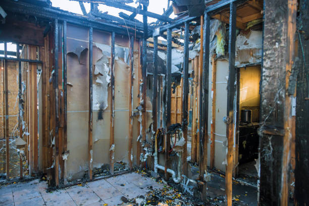 Professional Fire Damage Removal technician working in Gladewater, TX